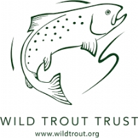 The Wild Trout Trust (WTT) logo