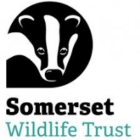 Somerset Wildlife Trust logo