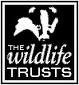 Devon Wildlife Trust logo