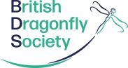 British Dragonfly Society (BDS logo